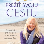 Prežiť svoju cestu / Brandon Bays / 2013
